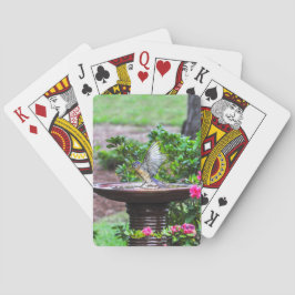 030 naipes del baño del Bluebird