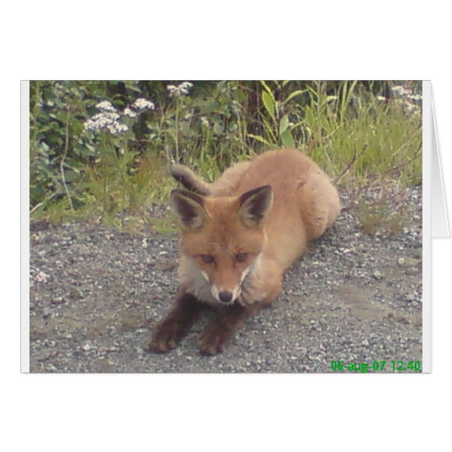 033.JPG (Anverso (Horizontal))