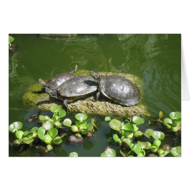 03-21-10 246 (Anverso (Horizontal))