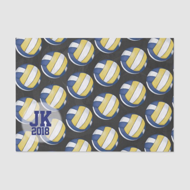 03 de 12 Papel de tono del patrón de voleibol (Anverso)