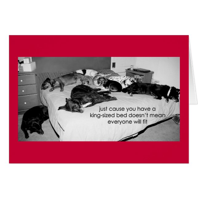 03 solo causa (Anverso (Horizontal))