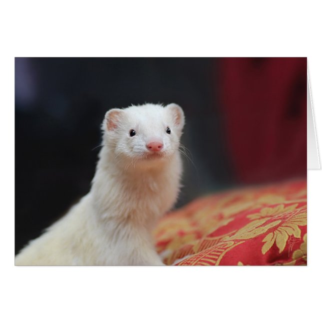 040 (Anverso (Horizontal))