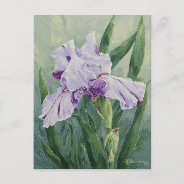 0440 Tarjeta postal Iris Púrpura Streaked (Anverso)