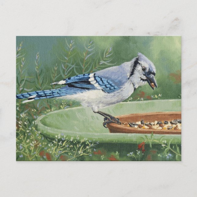 0481 Jay azul en la tarjeta postal Feeder (Anverso)
