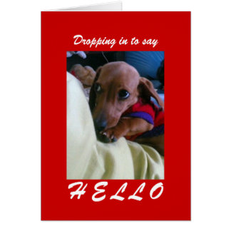 050503_1136~01, cayendo para decir H E L O