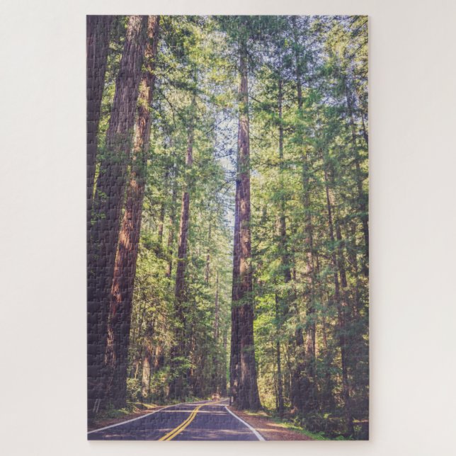 1000 Pieza Rompecabezas Humboldt Trees Redwood For (Vertical)