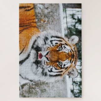 1000 puzzle de tigre de cuchara