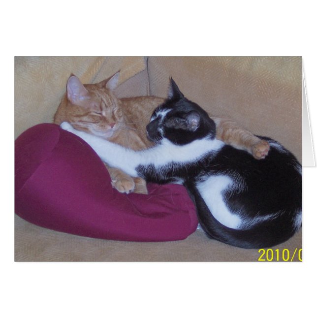 100_1102 (Anverso (Horizontal))