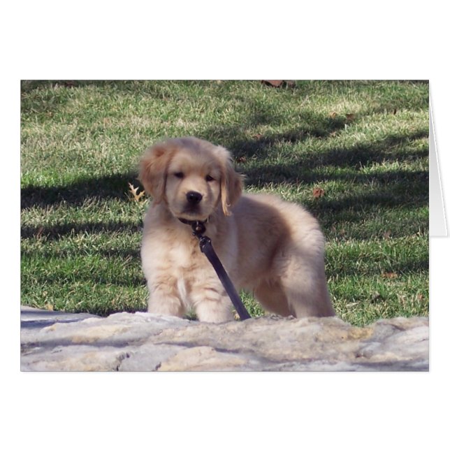 100_2426 (Anverso (Horizontal))