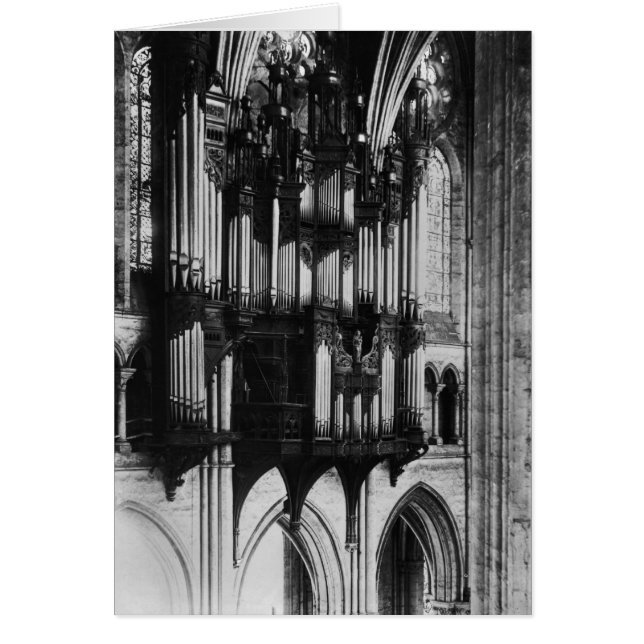 100 Orgánico (Frente)