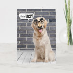 102.ª Tarjeta Funny Golden Retriever de cumpleaños<br><div class="desc">Recuperador de oro con una graciosa máscara de bigote en la pared de ladrillo gris y el suelo de madera con burbuja de habla por 102 años. Se puede cambiar por cualquier cumpleaños de edad. El texto es editable.</div>