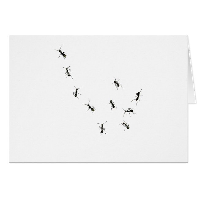 10 hormigas (Anverso (Horizontal))