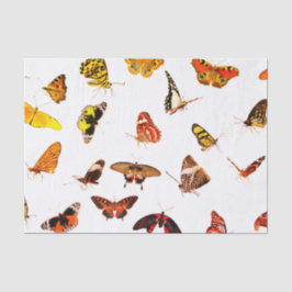 10lb papel seda de encargo, MARIPOSAS blancas