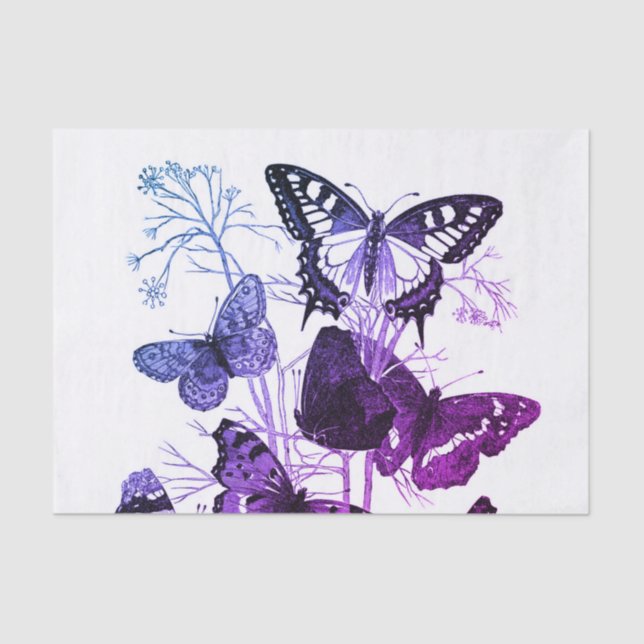 10lb papel seda de encargo, MARIPOSAS blancas (Anverso)