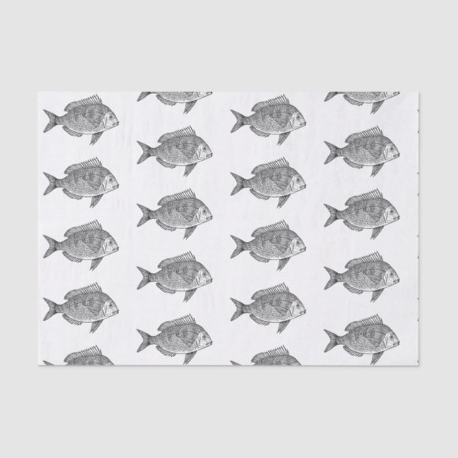 10lb papel seda de encargo, PESCADOS blancos (Anverso)