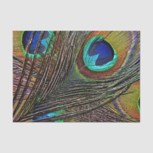 10lb papel seda de encargo, PLUMA del PAVO REAL