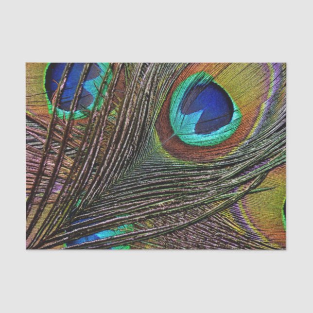 10lb papel seda de encargo, PLUMA del PAVO REAL (Anverso)