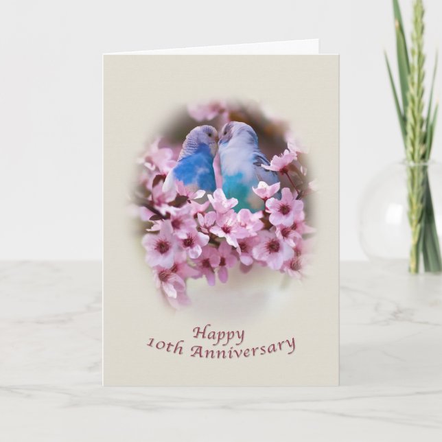 10ma tarjeta del aniversario de los Parakeets (Anverso)