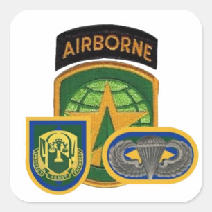 118.ª COMPAÑÍA DE POLICÍA MILITAR PEGATINAS