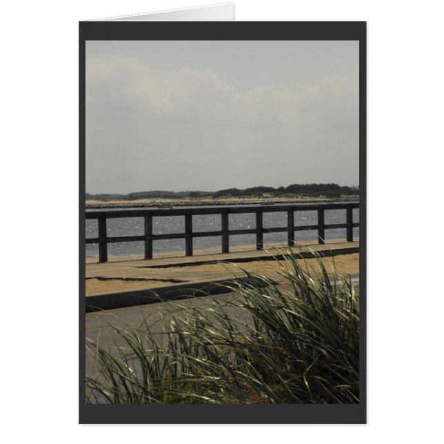 ~ 11 del verano (Frente)