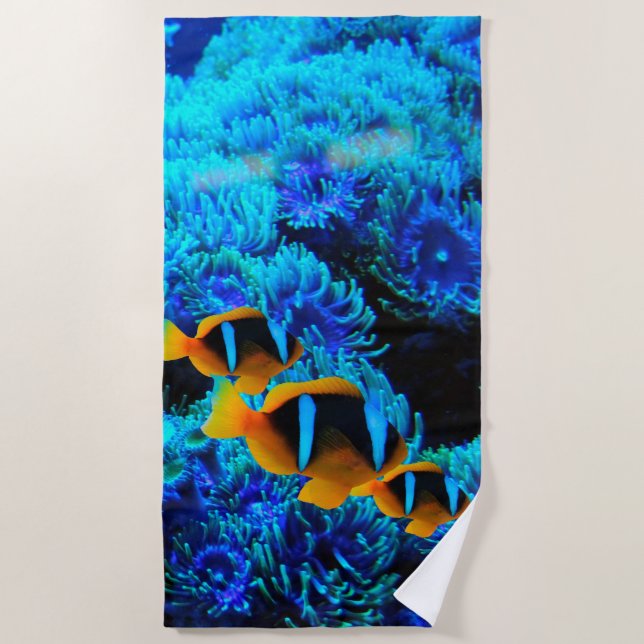 11 Toalla De Playa Subacuática (Anverso)