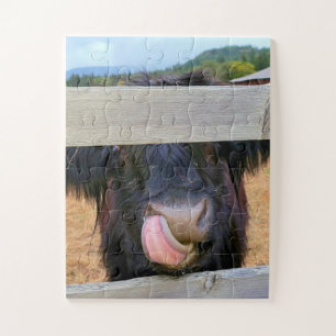 11"x14" Rompecabezas 30 pc Fácil Vaca Highland