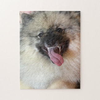 11" x 14" el rompecabezas 252 del Keeshond junta