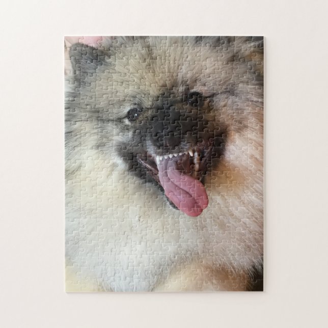 11" x 14" el rompecabezas 252 del Keeshond junta (Vertical)