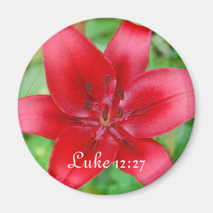 12:27 rojo de Lucas del imán del lirio