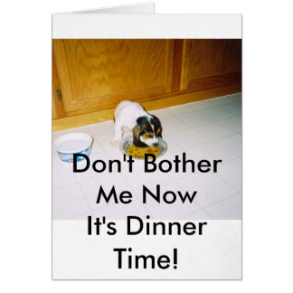 12-30-2008 06; 09; 30PM, no me molestan NowIt…