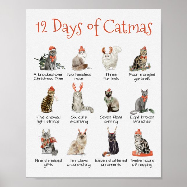 12 días de la impresión del poster de gatos de Nav (Frente)