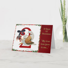 12 días de navidad dos palomas de la tortuga