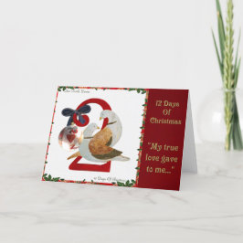 12 días de navidad dos palomas de la tortuga