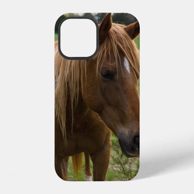 12 Funda para iPhone Caballo Hola (Reverso )
