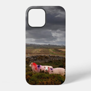 12 Funda para iPhone Case-Mate de ovejas coloridas