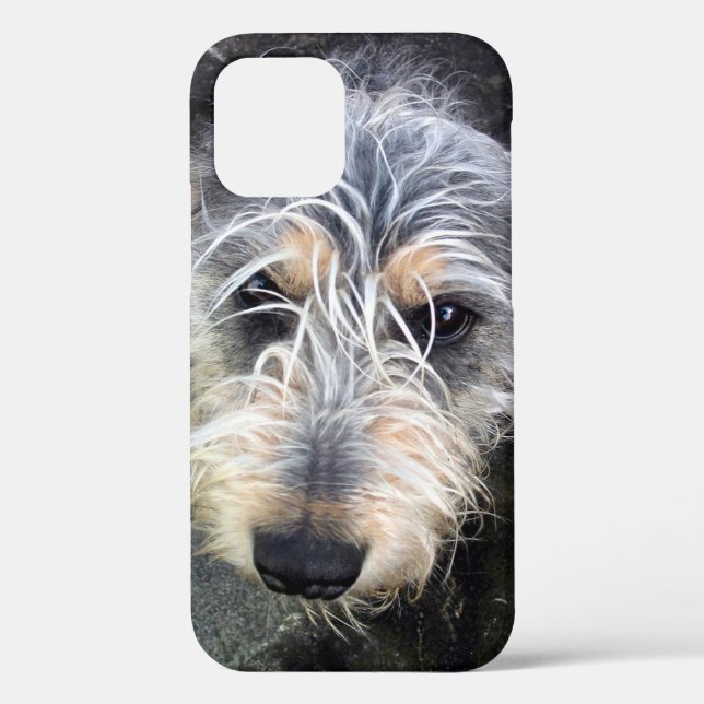 12 Funda para iPhone Case-Mate de perro lindo (Reverso )