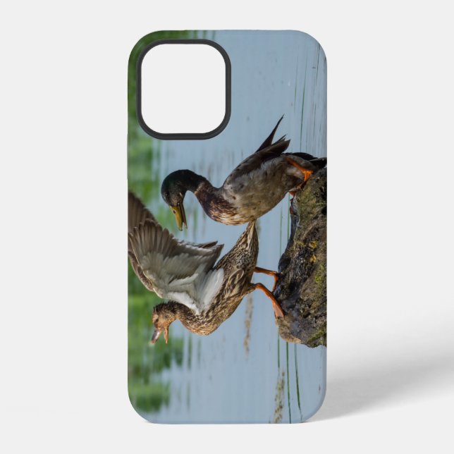 12 Funda para iPhone Excuse Me (Reverso )