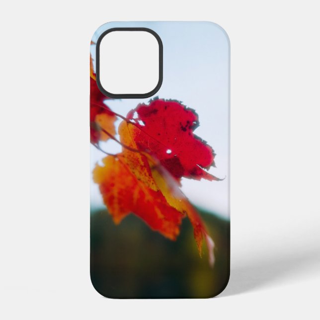 12 Funda para iPhone Hoja de Otoño (Reverso )