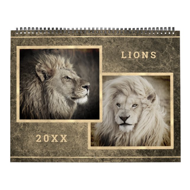 12 hermoso calendario de imágenes fotográficas de  (Tapa)