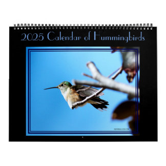 12 meses de calendario de colibríes.