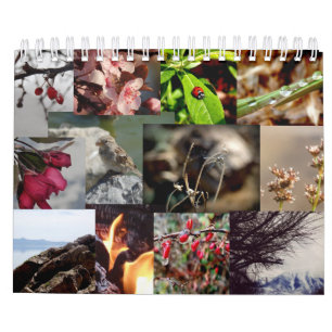 12 meses del calendario del francés del año