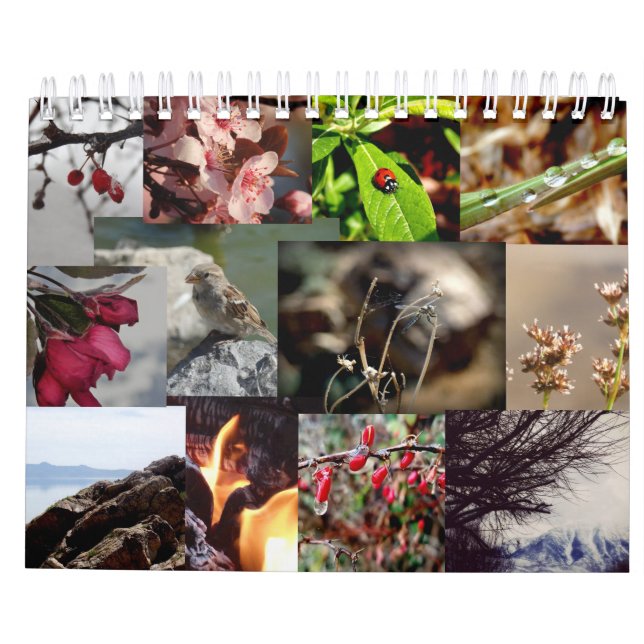 12 meses del calendario holandés/holandés del año (Reverso)