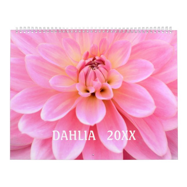 12 meses hermoso calendario fotográfico de Dahlia (Tapa)