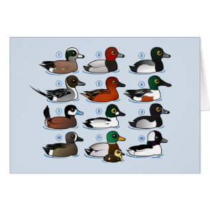 12 patos con llave