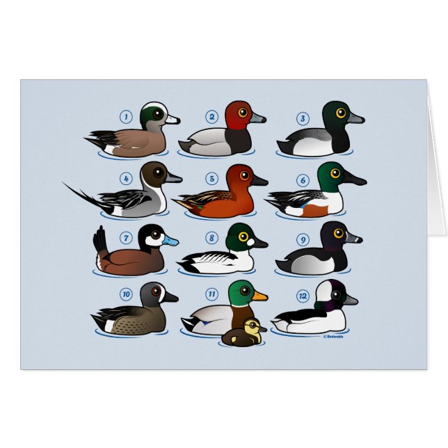 12 patos con llave (Anverso (Horizontal))