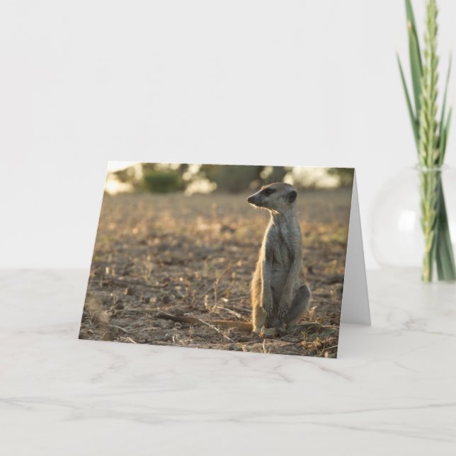 12ma tarjeta de cumpleaños de Zaphod 1 (Anverso)