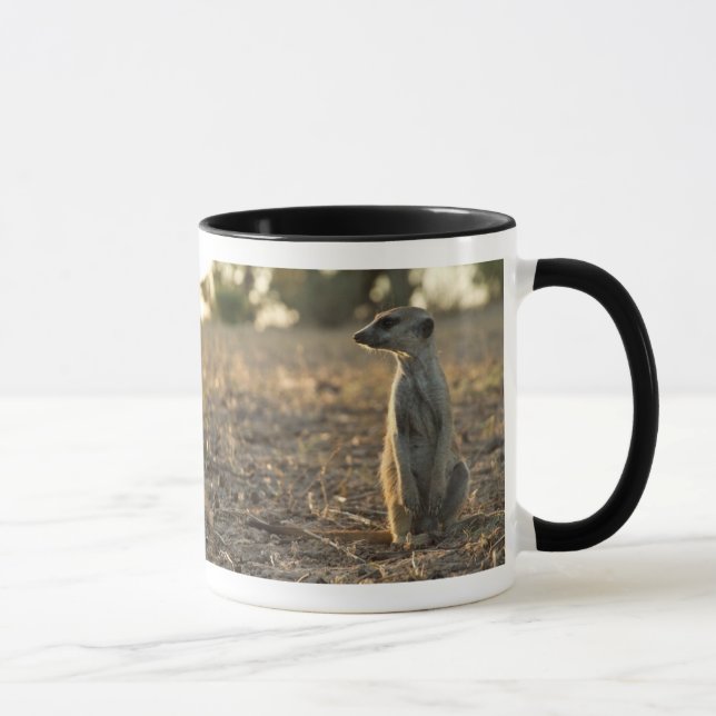 12ma taza del cumpleaños de Zaphod (Derecha)