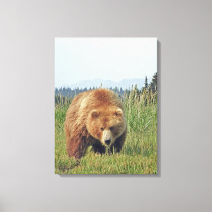 12x24 Lienzo envuelto (brillante) con oso pardo