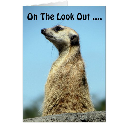 1377) tarjetas de cumpleaños de Meerkat (