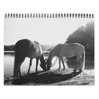 13 calendario del mes 2011